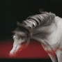 anticøn - deftones x nu metal x alternative metal type instrumental - "pain"