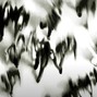 anticøn - Grunge x Slowcore x Alternative Type Instrumental - "Lonely People"