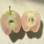 anticøn - sad grunge x post-rock x heavy shoegaze type instrumental - "bad apple"