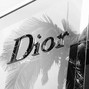 dontmilo - DIOR