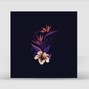 OVRNOUT - Dark Plaza - Dark Melodic Piano