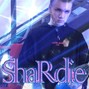 ice.shard - KYOTO TRAPPA