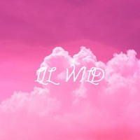 Lil Wild