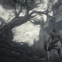 Somber - darksouls3