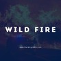 Charlie Hayz - Wild Fire (East Coast Rakim Type Beat)