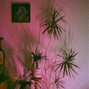 all day sea - web 