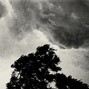 sorrow bringer - "frustration" | sad x dark trap cloud rap loop kit | 11 songs