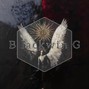 sorrow bringer - 🎶"BlackwinG" | sad dark synth loop pack | ambient cloud rap