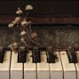 sorrow bringer - "contiguity " | lofi piano synth sad loop kit sample pack | 12 songs 55 loops