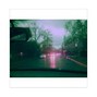 Roman - miss u