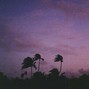 Roman - sad stems