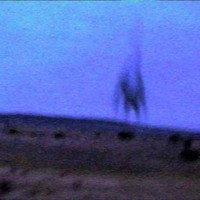 dye 