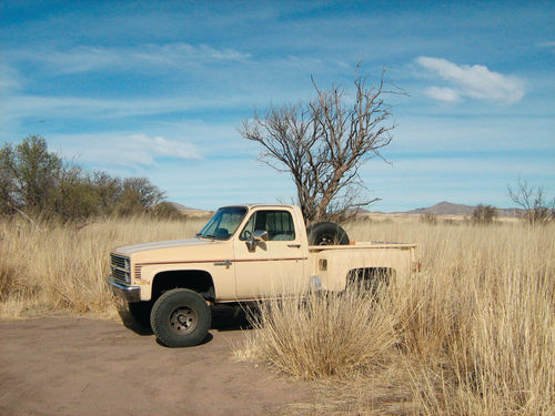 1984 Chevrolet 4x4