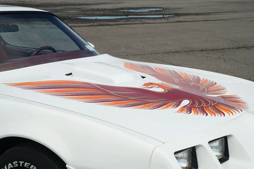 The hood bird is one of the largest graphics ever to appear on a car.