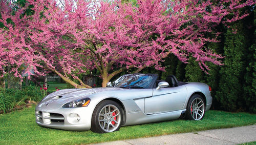 Marty Heitkamp’s 2005 Bright Silver Metallic Viper.