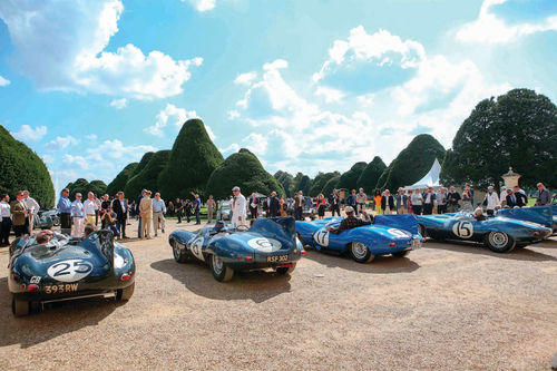 When was the last time you saw a lineup of D-Type Jaguars.