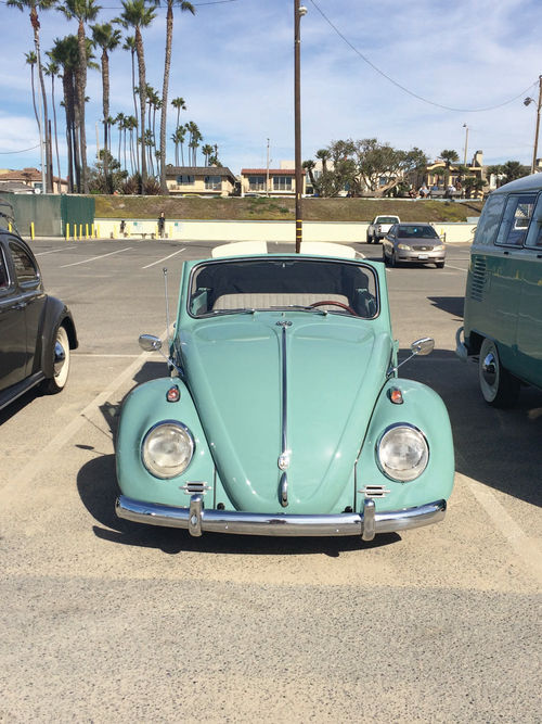 close-up views of the front ends of the two Bugs.