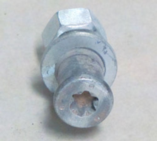 Photo 2. Torx bolts always have this round head and star-shaped socket.