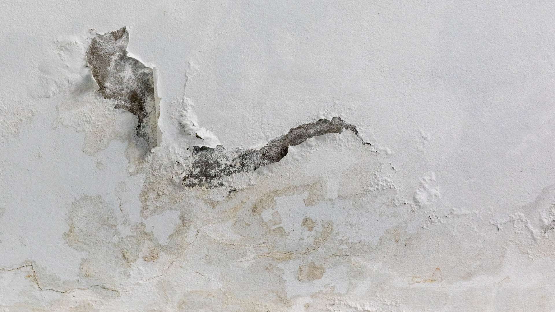Ceiling Leak Repair in Poway, CA