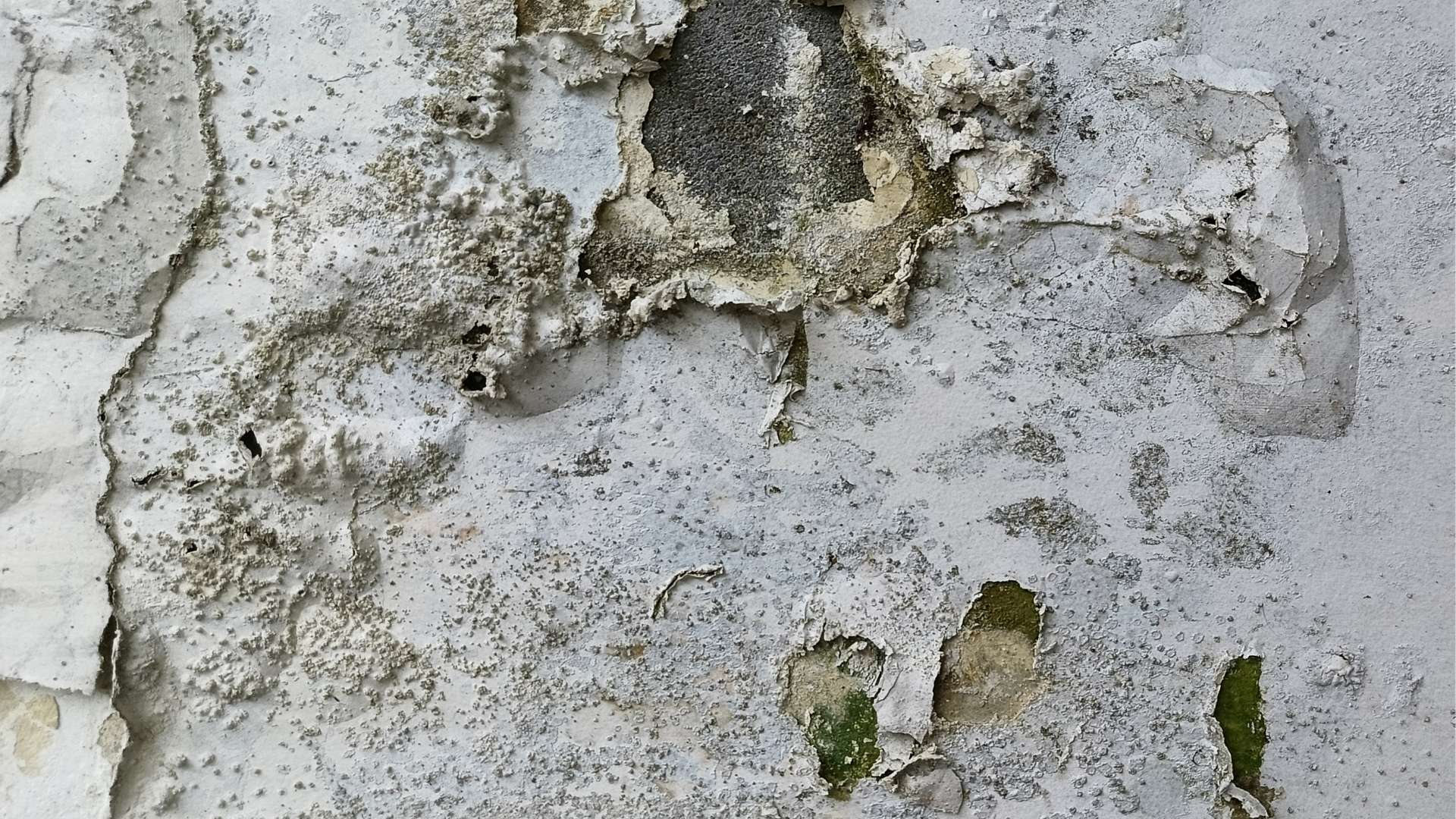FAQS about Mold Prevention Services in Haskell, TX