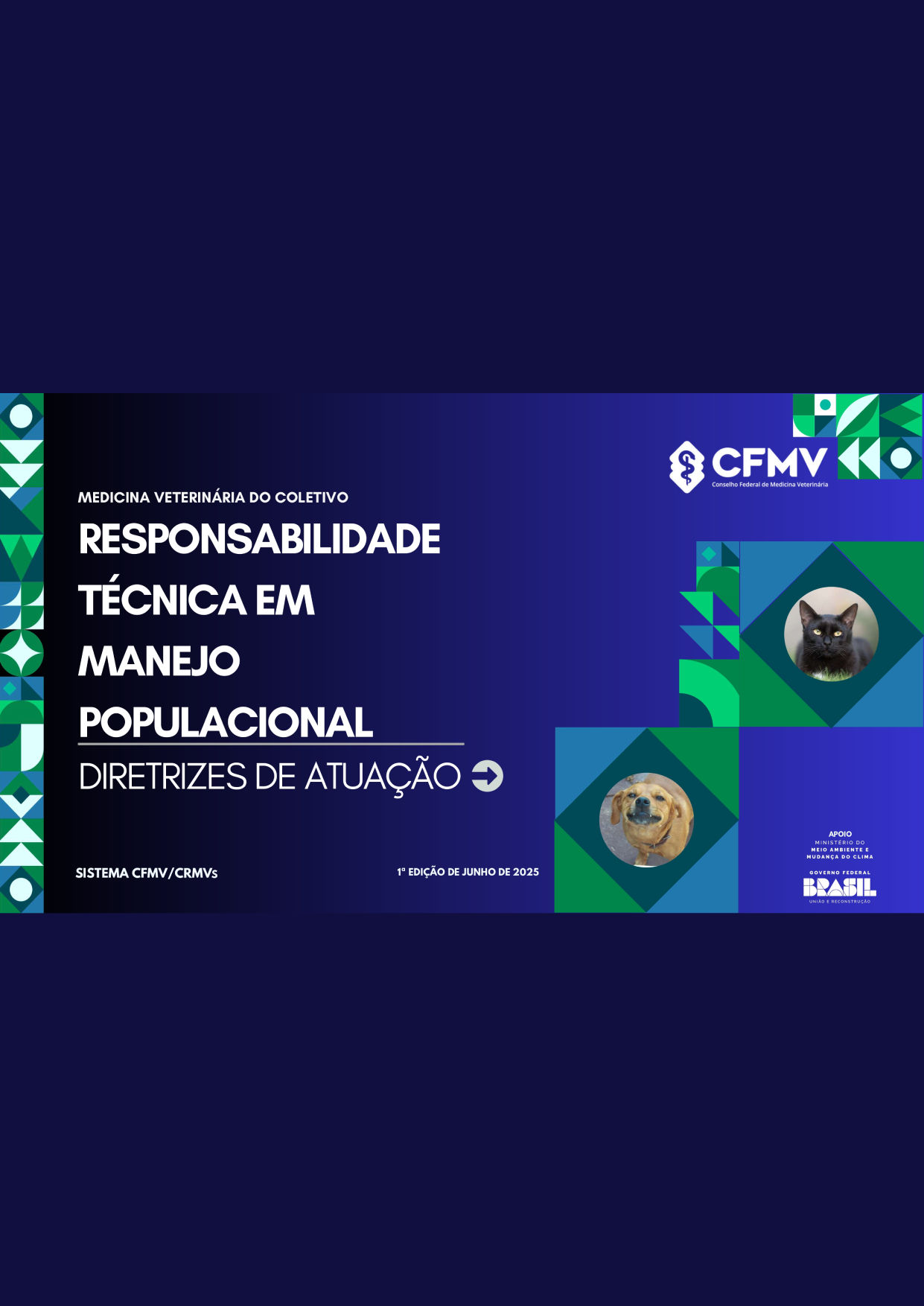 Diretrizes de RT e Manejo