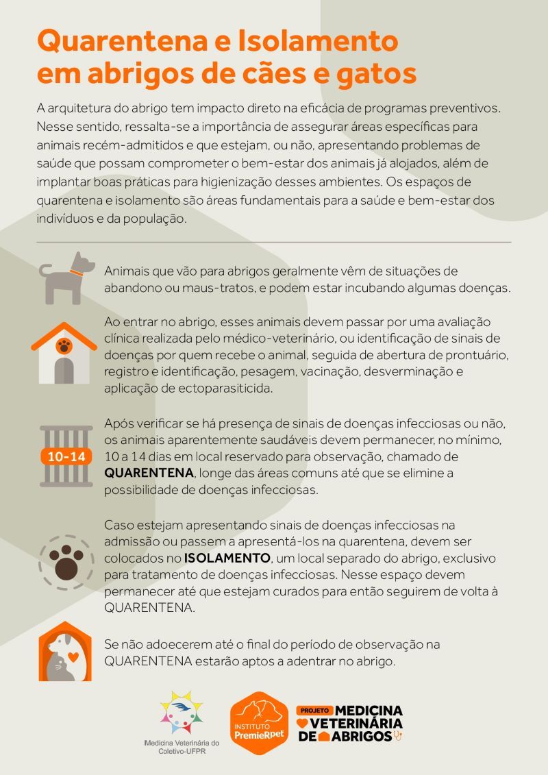 Quarentena e Isolamento em abrigos de cães e gatos