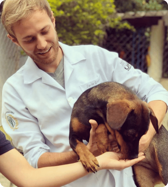 Profissional cuidando de cachorro em abrigo