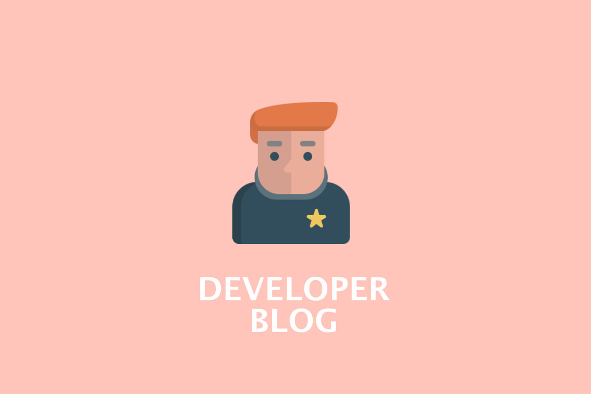 Developer Blog Project