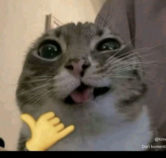 SLOTGACOR