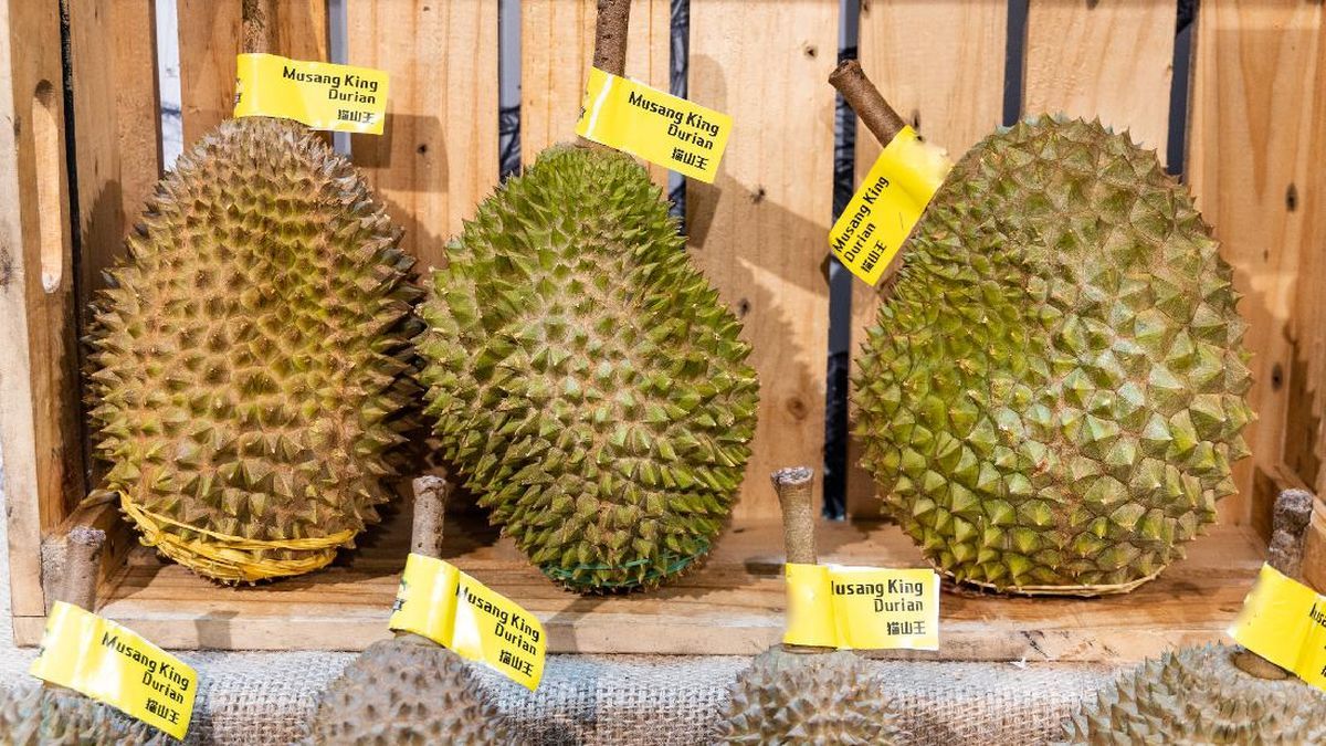 Durian Musang King Grade A