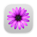 TextMate app icon