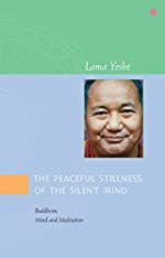 the-peaceful-stillness-of-the-silent-mind