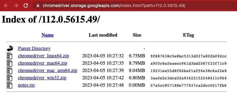 chrome/chromedriver-download.jpg