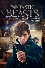 fantastic-beasts-and-where-to-find-them