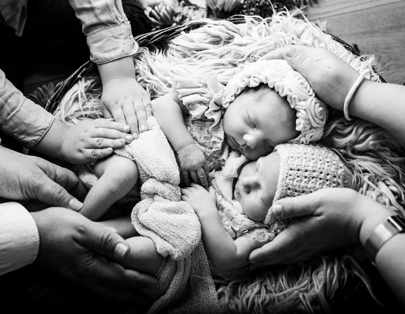 Newborn twins portrait - artistic twin baby photography Los Angeles