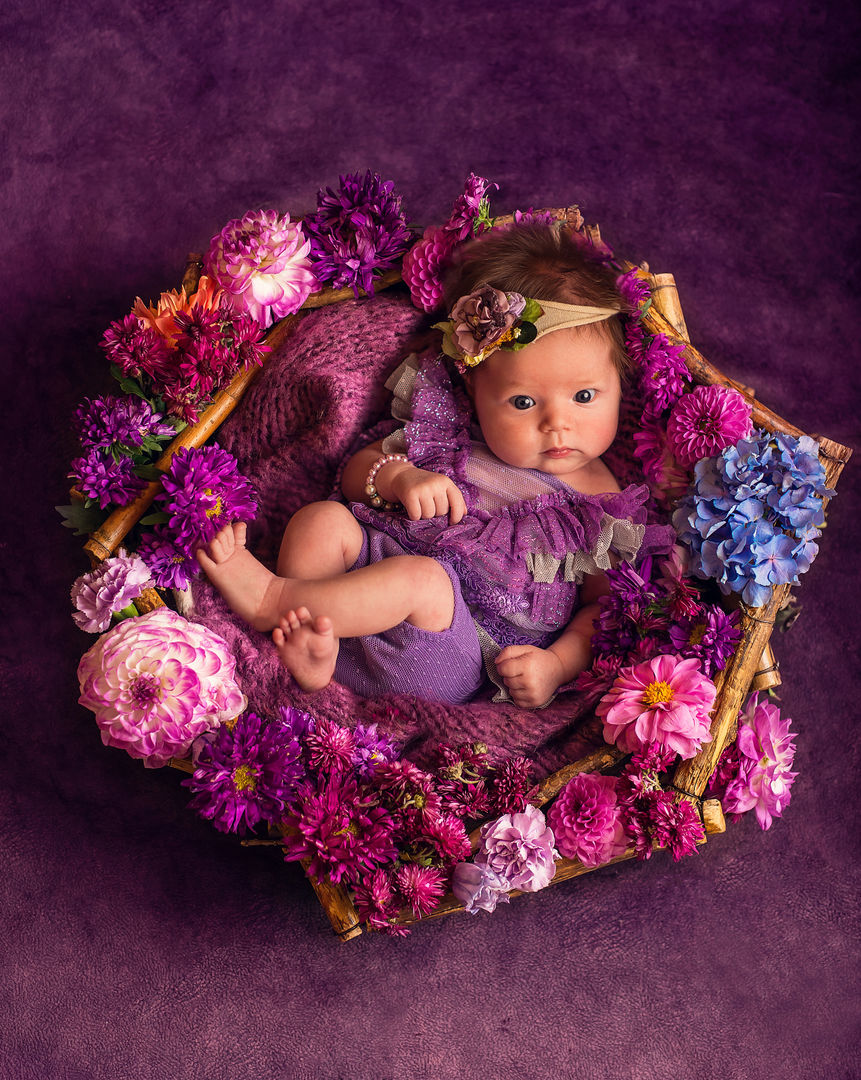Newborn baby in classic styled portrait - Los Angeles newborn photography