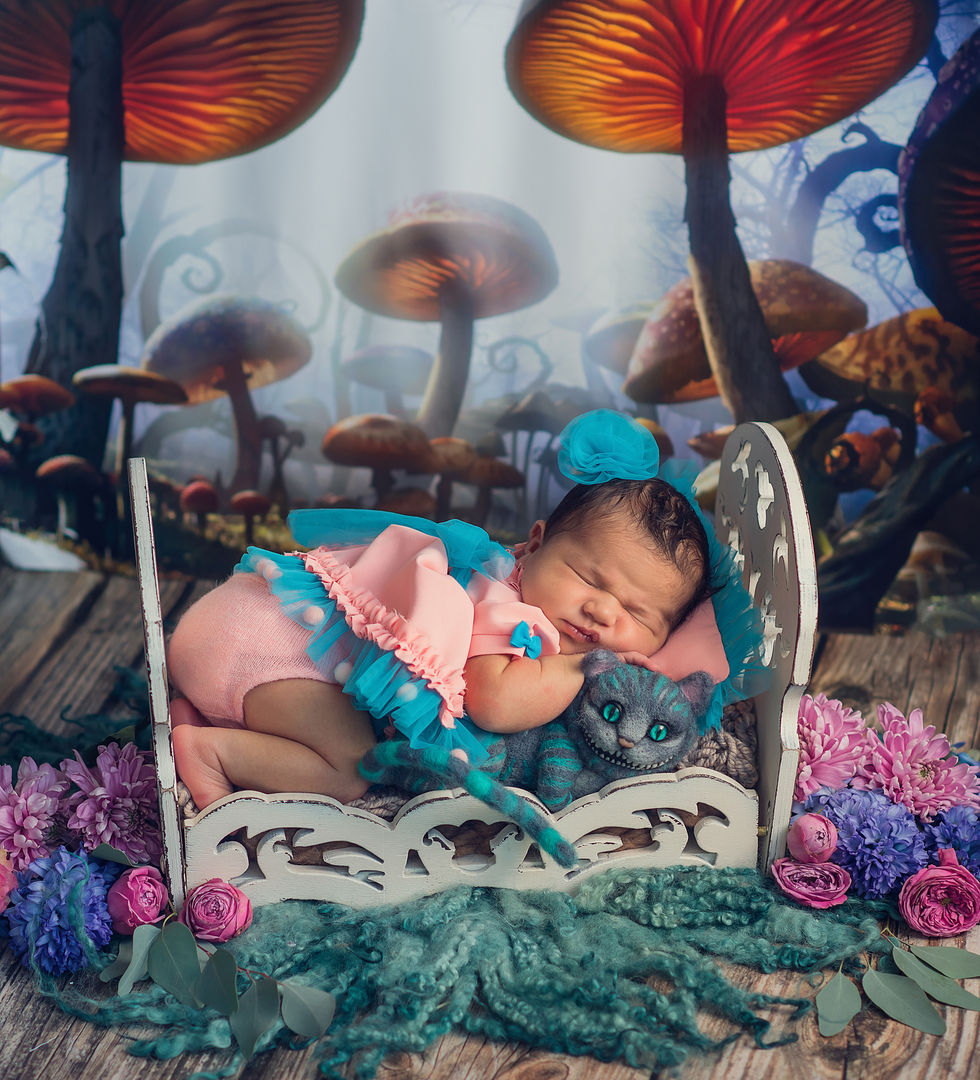 Peaceful newborn baby sleeping portrait - fine art newborn photography