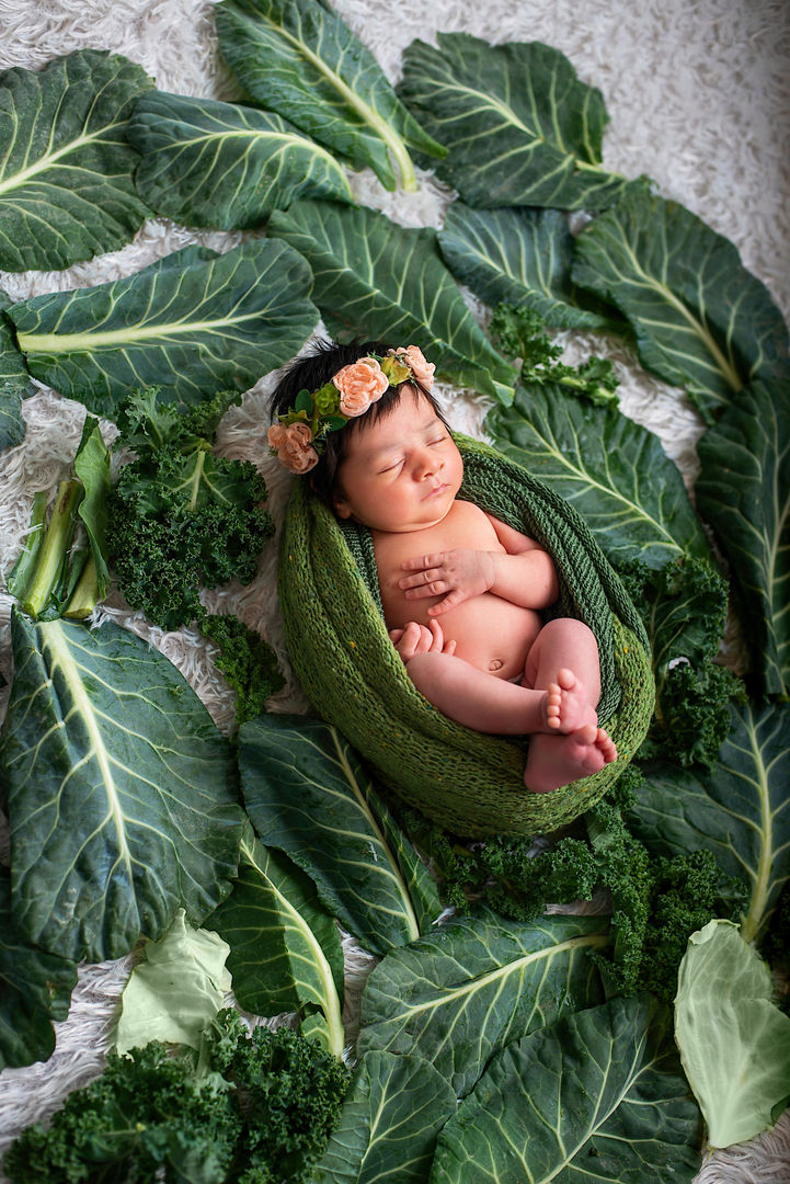 Newborn baby with natural props - artistic newborn photography