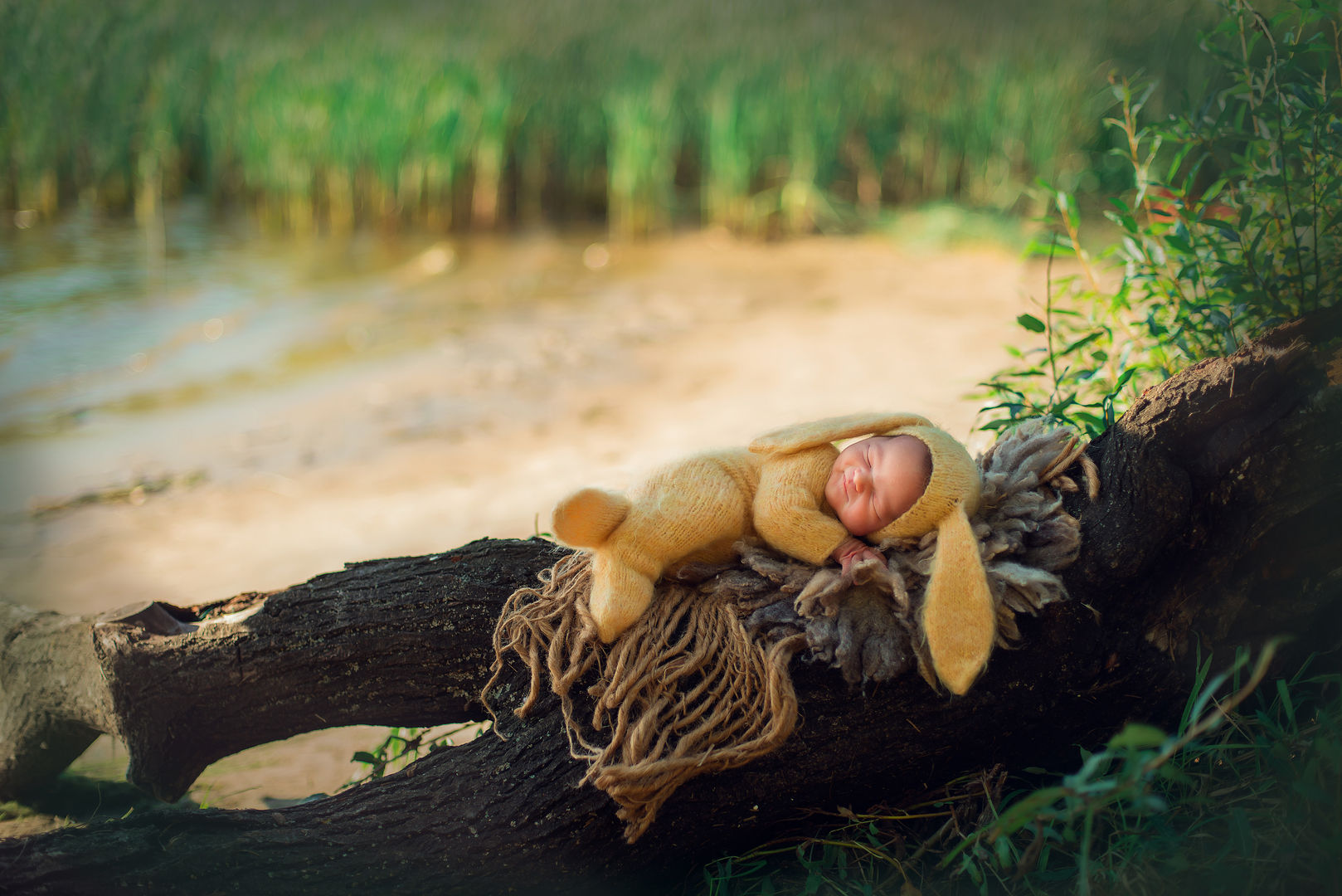Classic newborn portrait - Los Angeles baby photographer