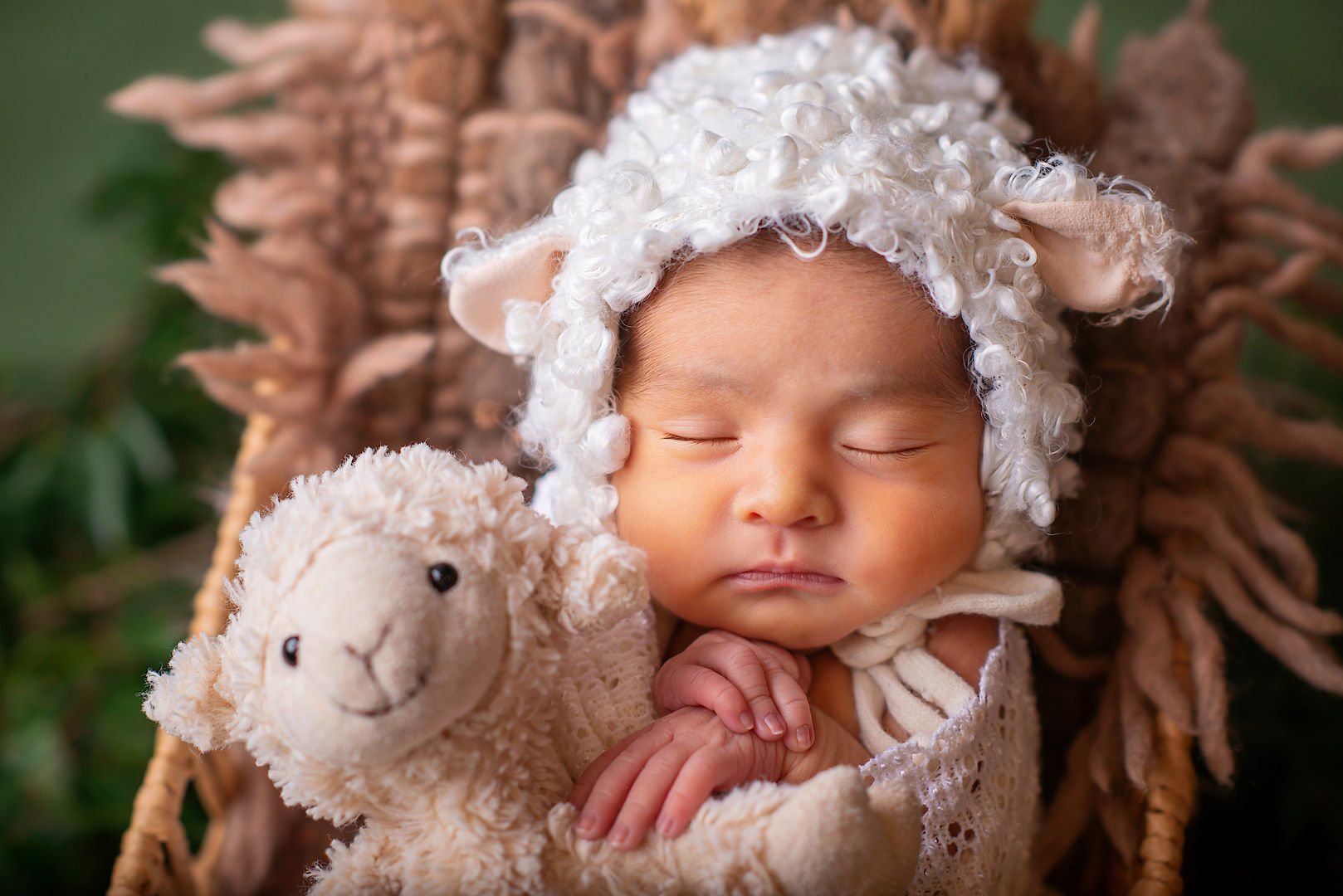 Sleeping newborn portrait - fine art baby photography