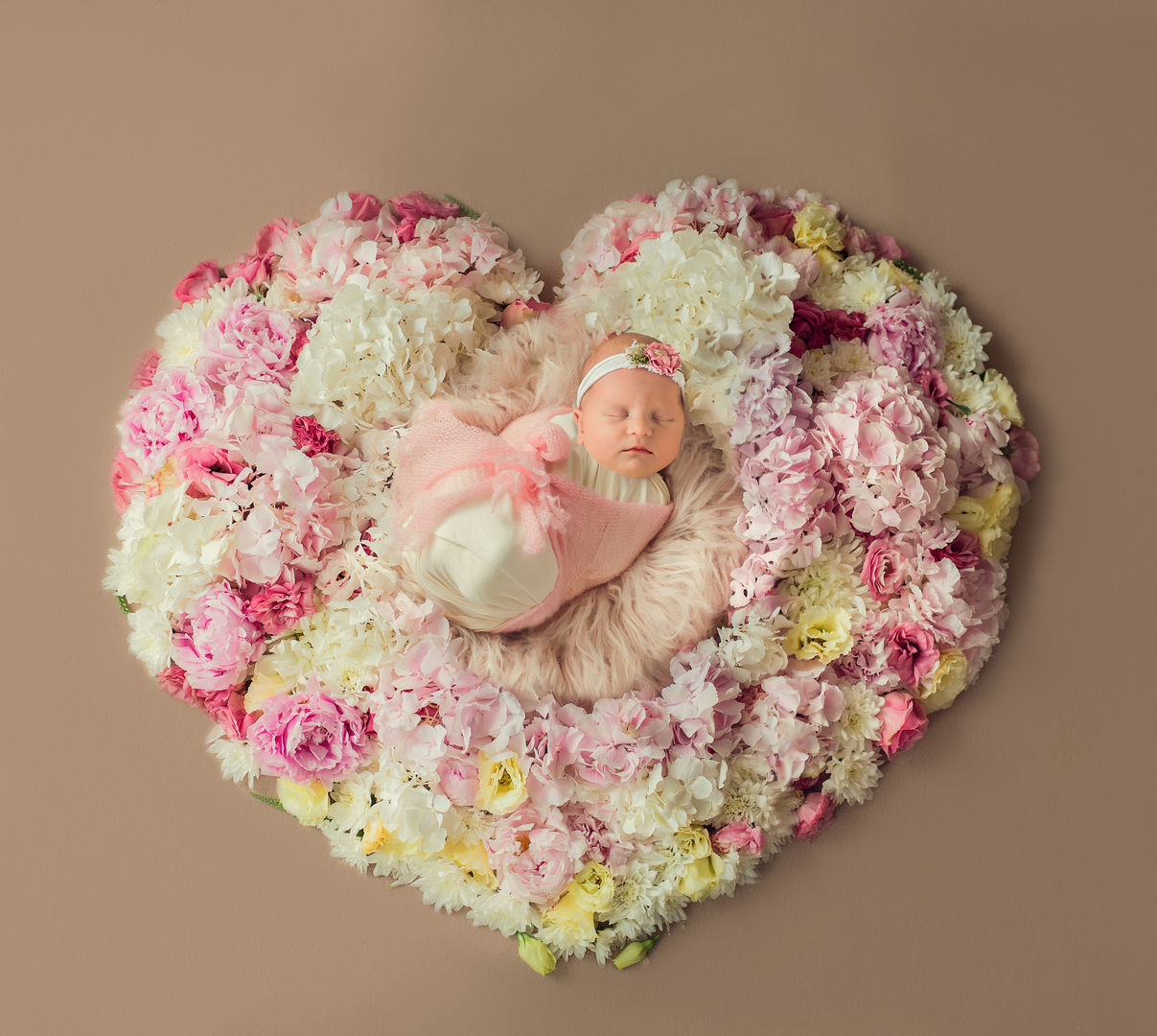 Classic newborn baby portrait - Los Angeles newborn photography