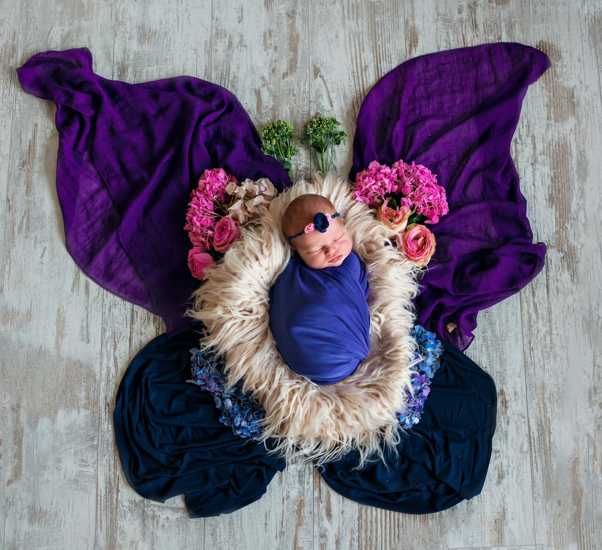 Newborn in butterfly arrangement - creative baby photography Los Angeles