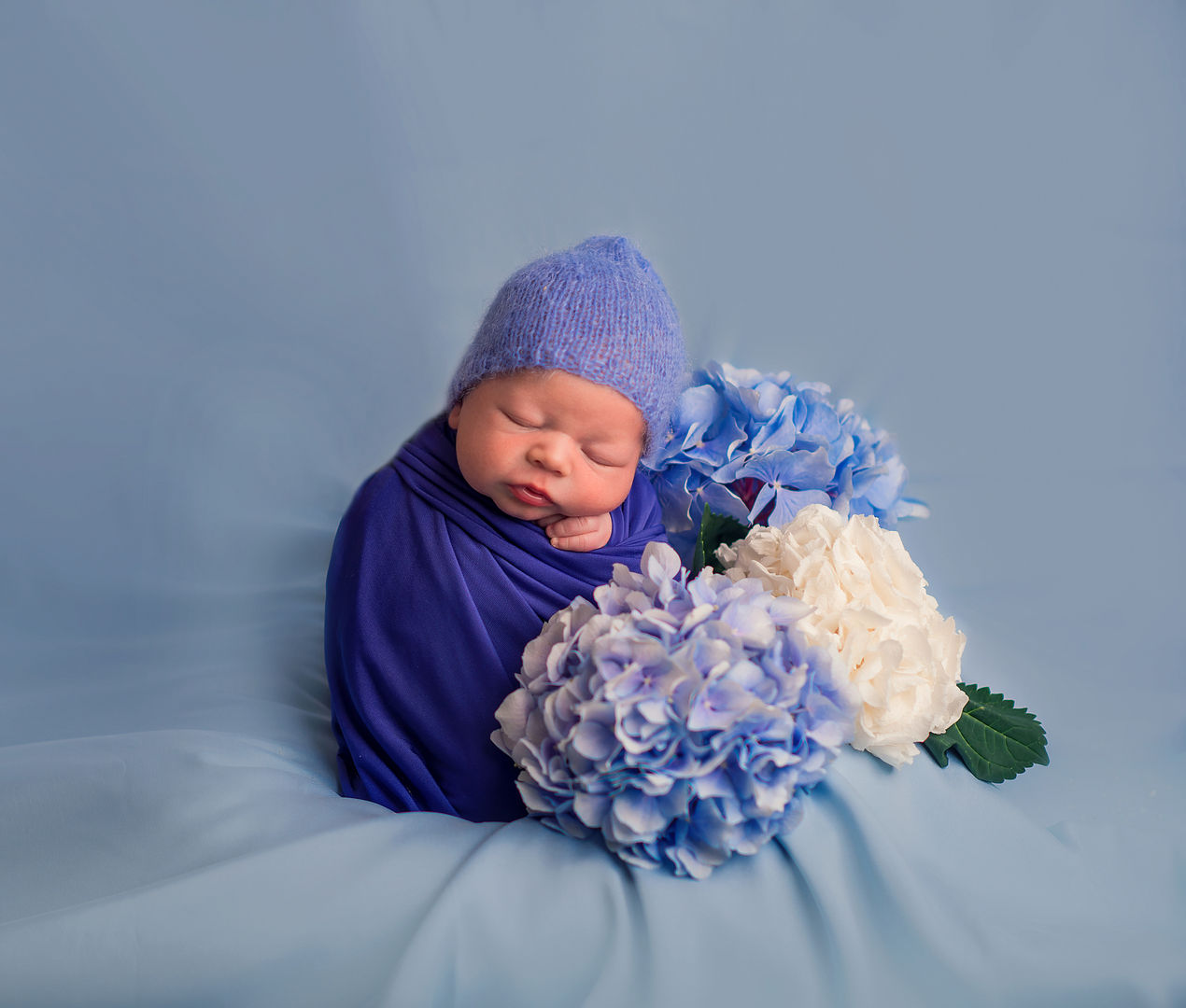 Newborn baby with hydrangeas - styled baby photography