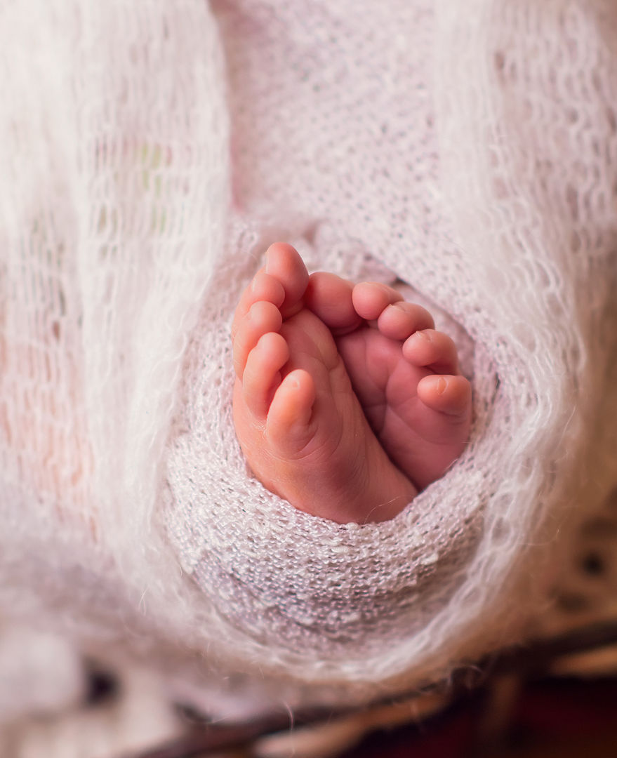 Styled newborn portrait with props - fine art photography Los Angeles