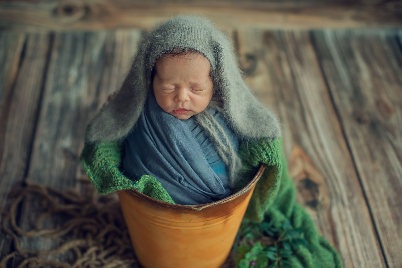 Styled newborn portrait - fine art newborn photography