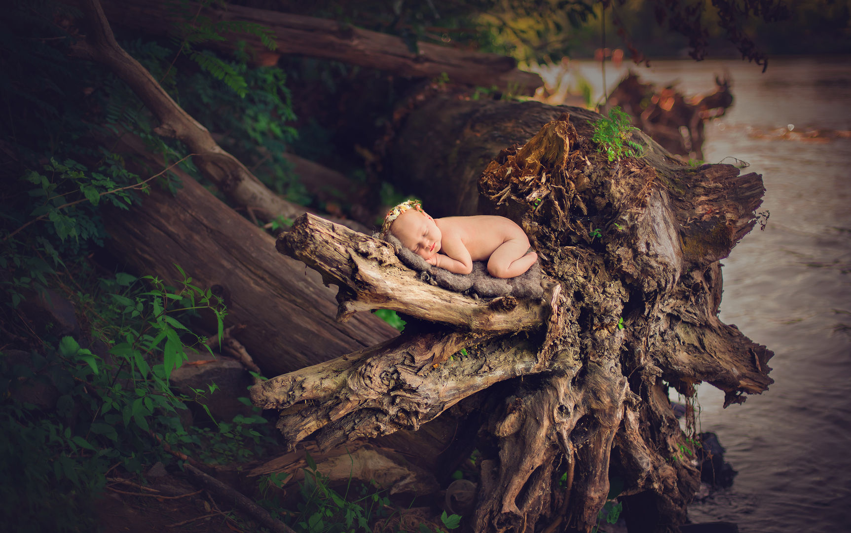 Classic newborn portrait - styled baby photography
