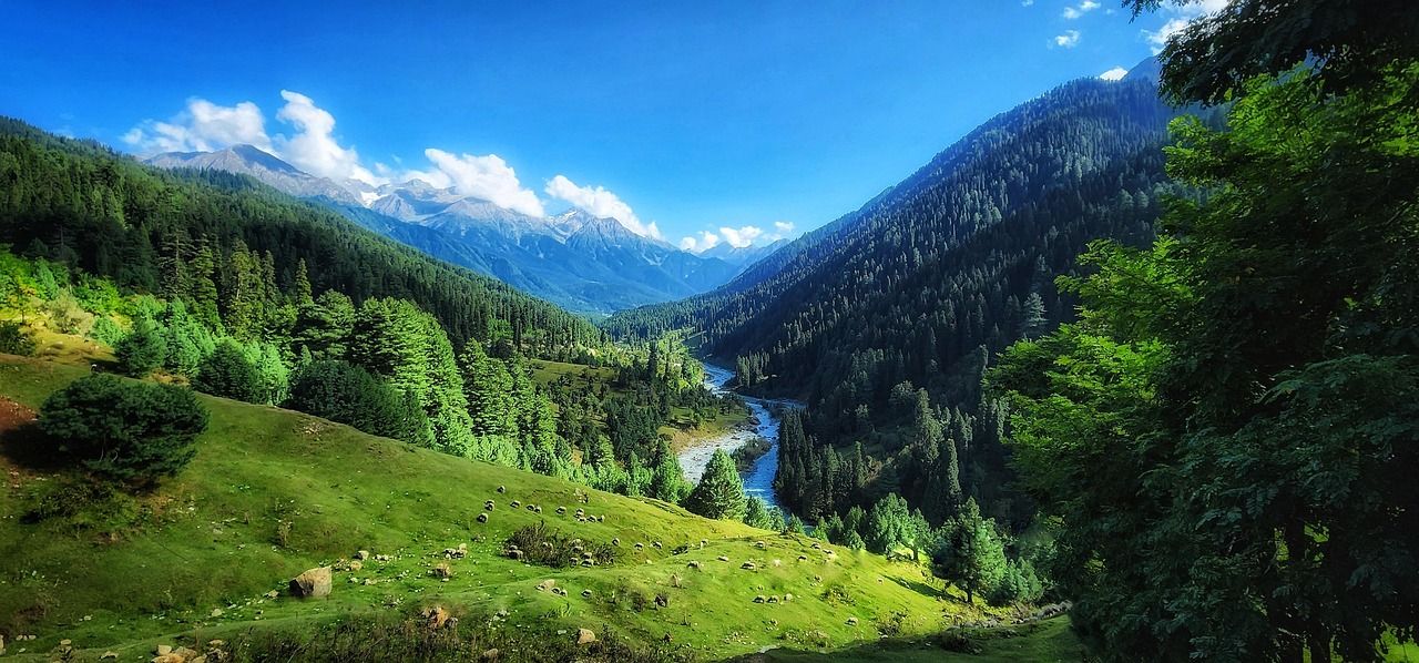 The Lidder River winding through the Pahalgam valley.