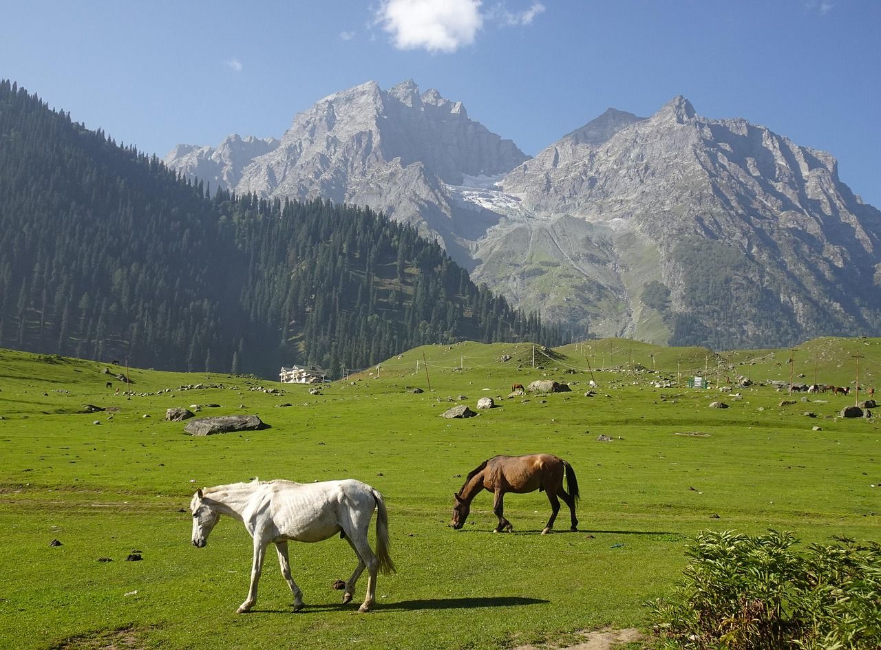 The Sonamarg meadow with horses grazing below the glacier peaks. Photo: sarangib / Pixabay.