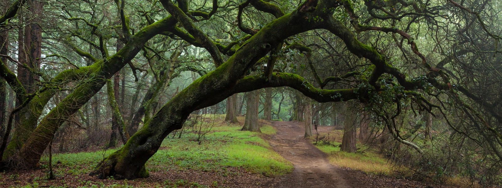 Joaquin Miller Park