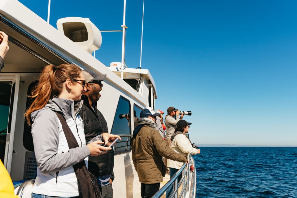 Monterey Bay Whale Watching Tour